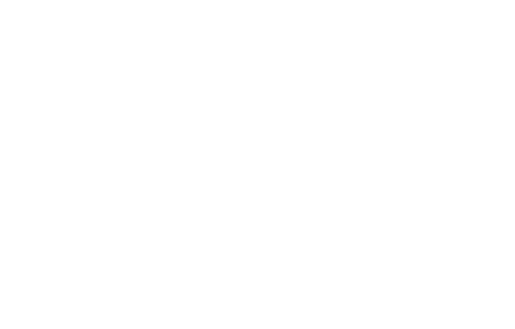 Fantastic Lies logo