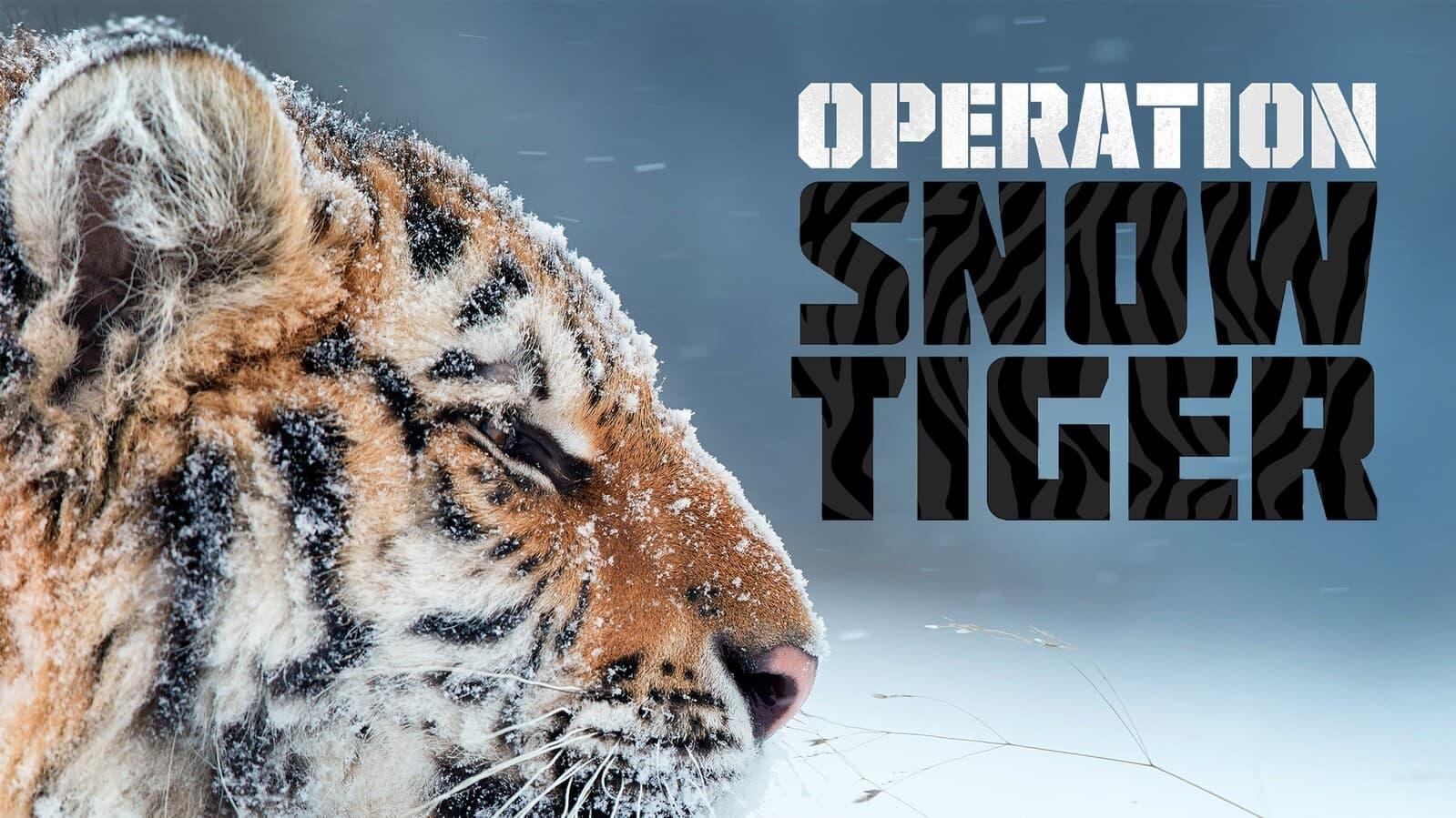 Operation Snow Tiger backdrop