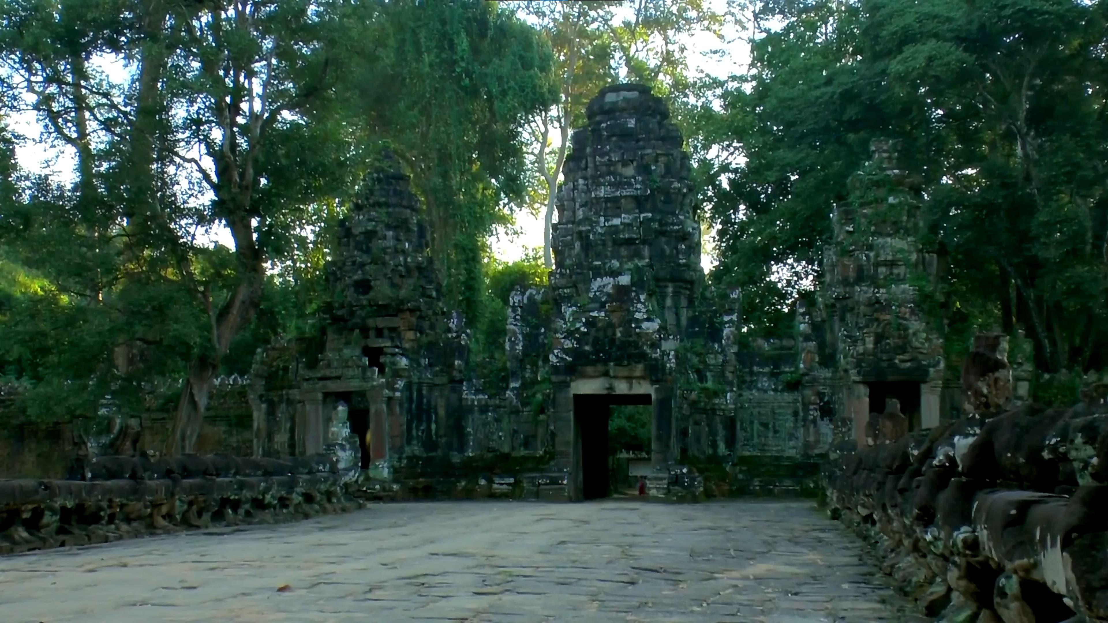 Angkor 3D backdrop