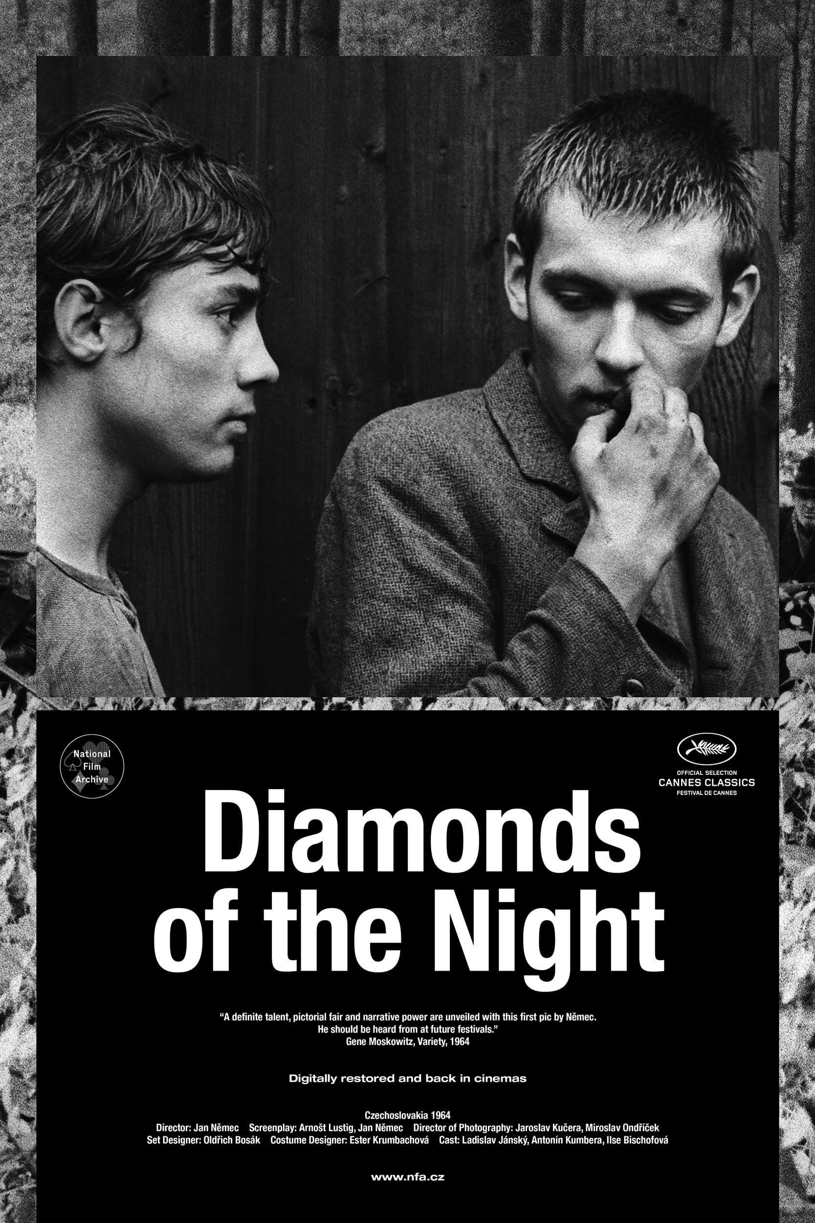 Diamonds of the Night poster