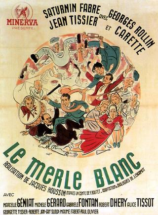 The White Blackbird poster
