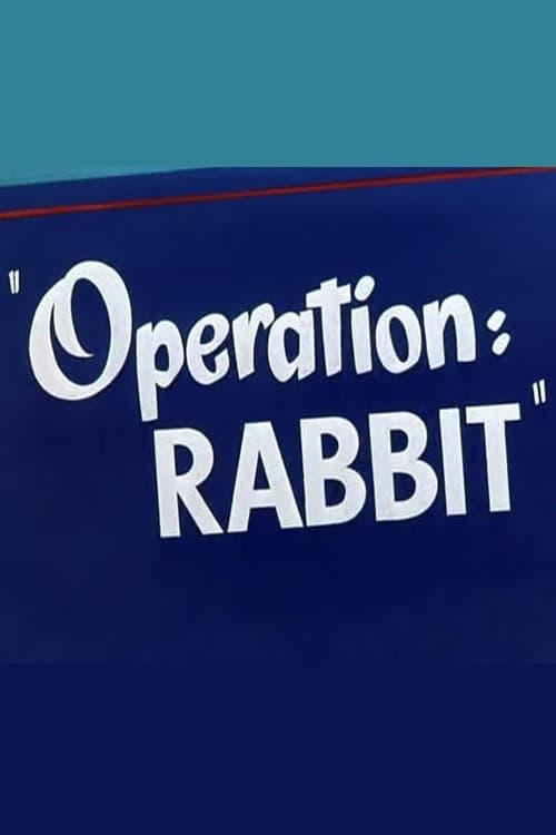 Operation: Rabbit poster