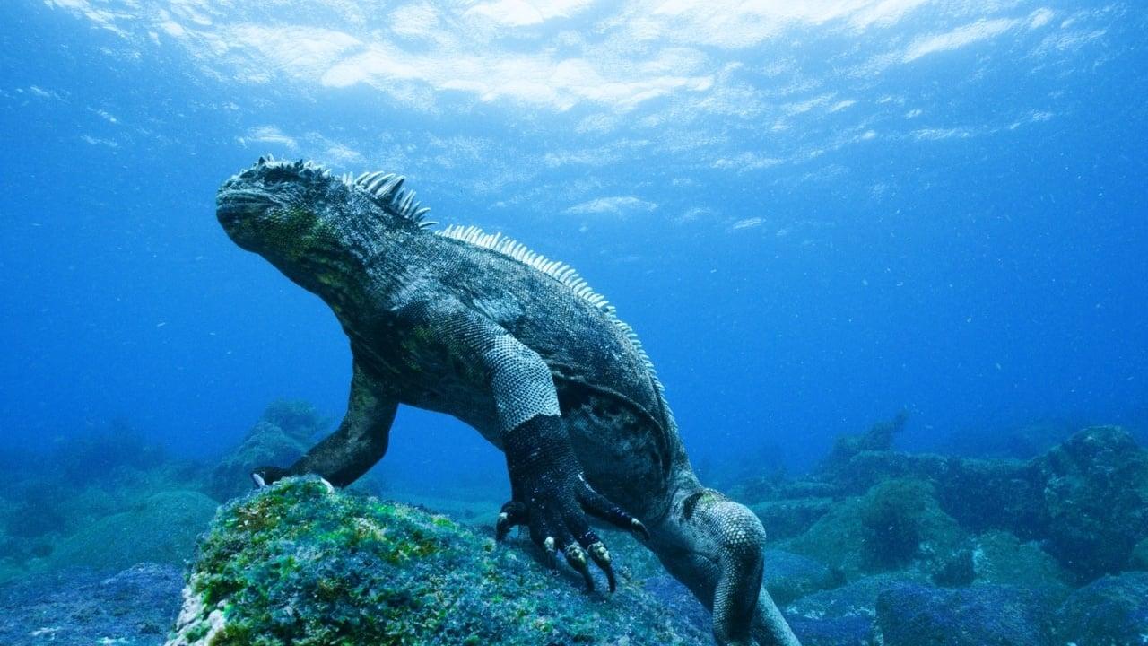 Galapagos 3D: Nature's Wonderland backdrop