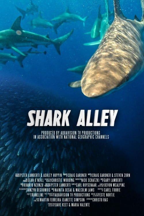 Shark Alley poster