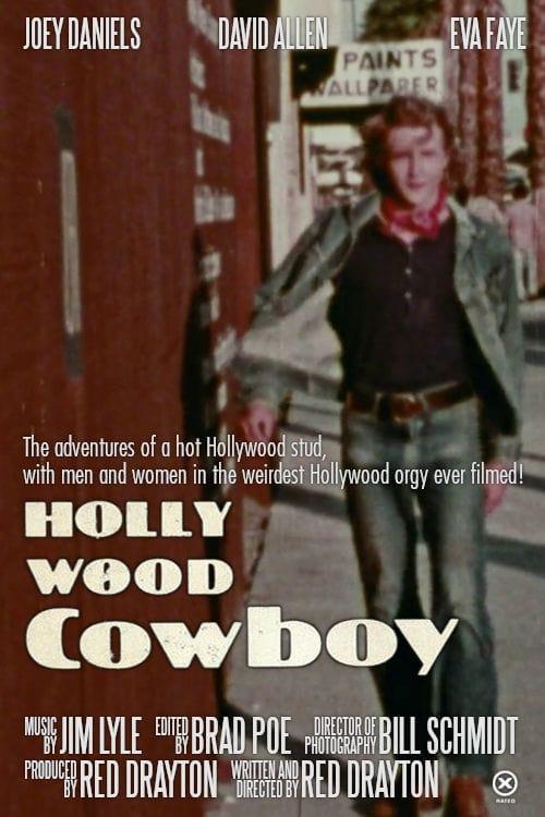 Hollywood Cowboy poster