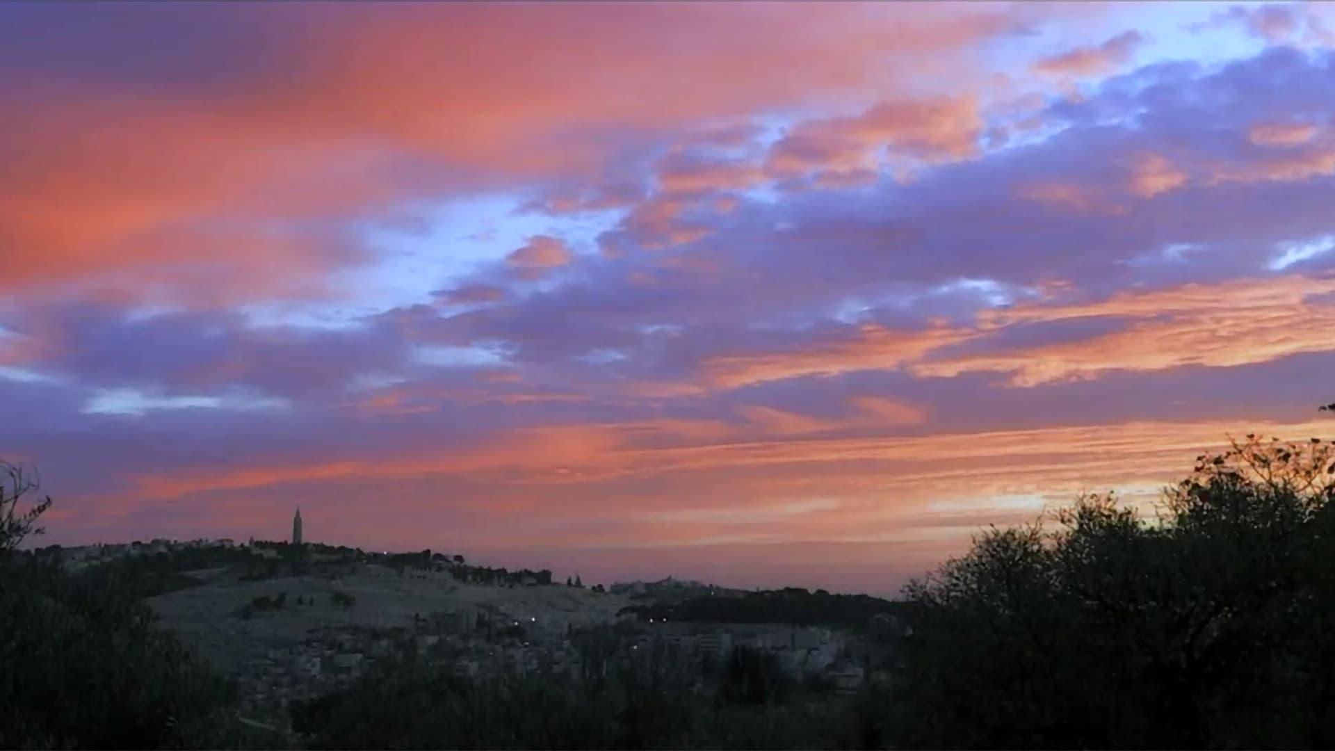 Morning backdrop