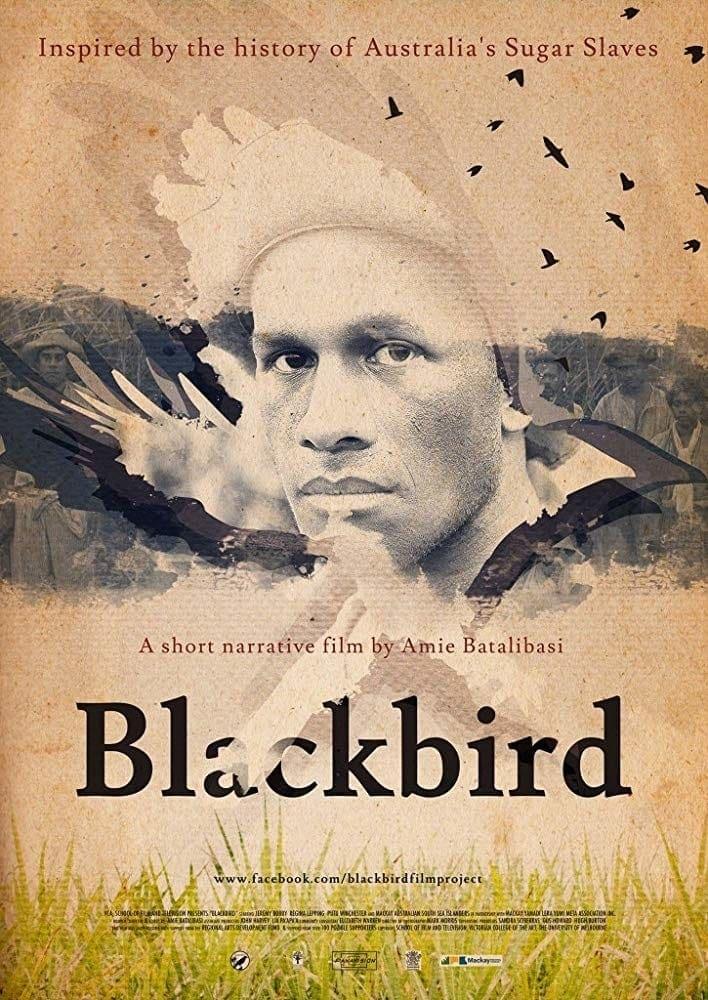 Blackbird poster