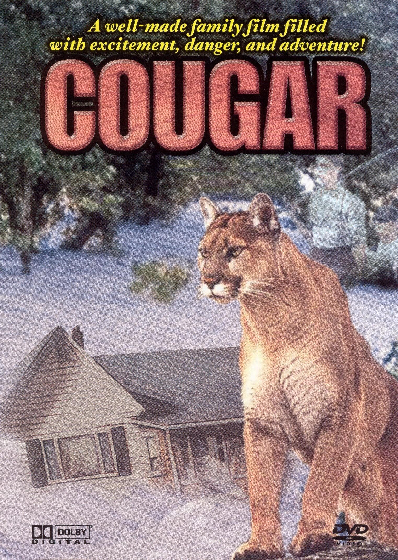 Cougar poster