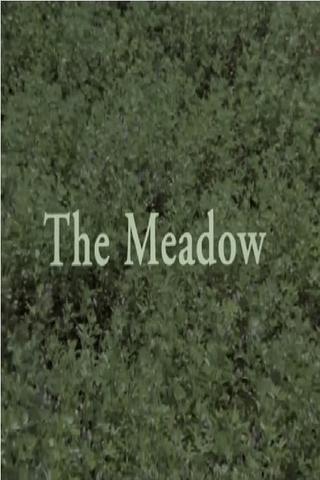 The Meadow poster