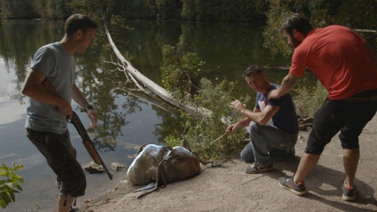 Creature Lake backdrop