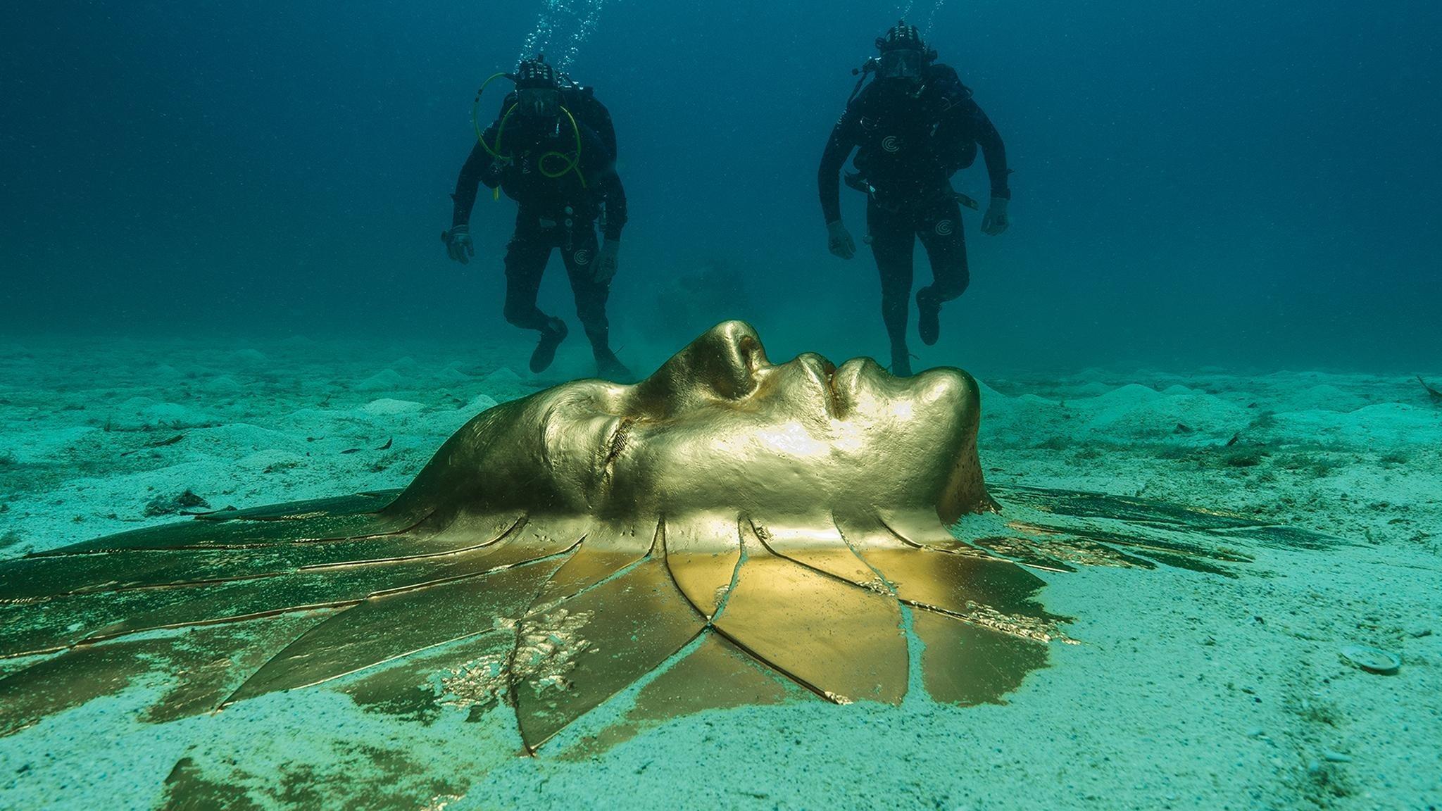 Treasures from the Wreck of the Unbelievable backdrop