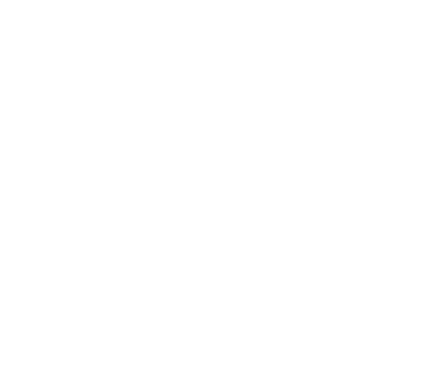 Nothing But Thirty logo