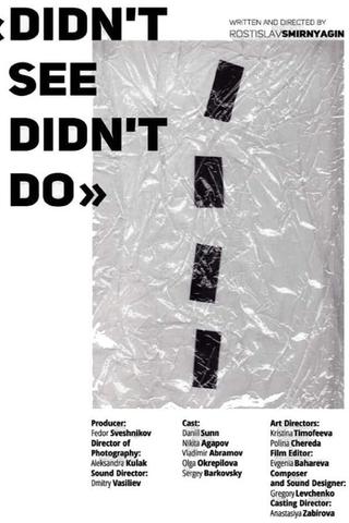 Didn't See Didn't Do poster