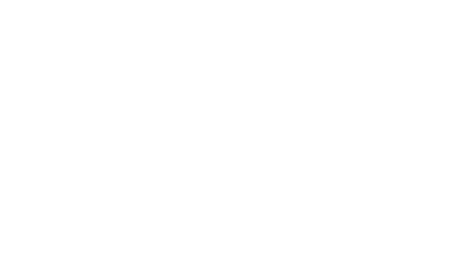 Born in Syria logo