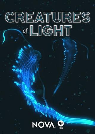 Creatures of Light poster