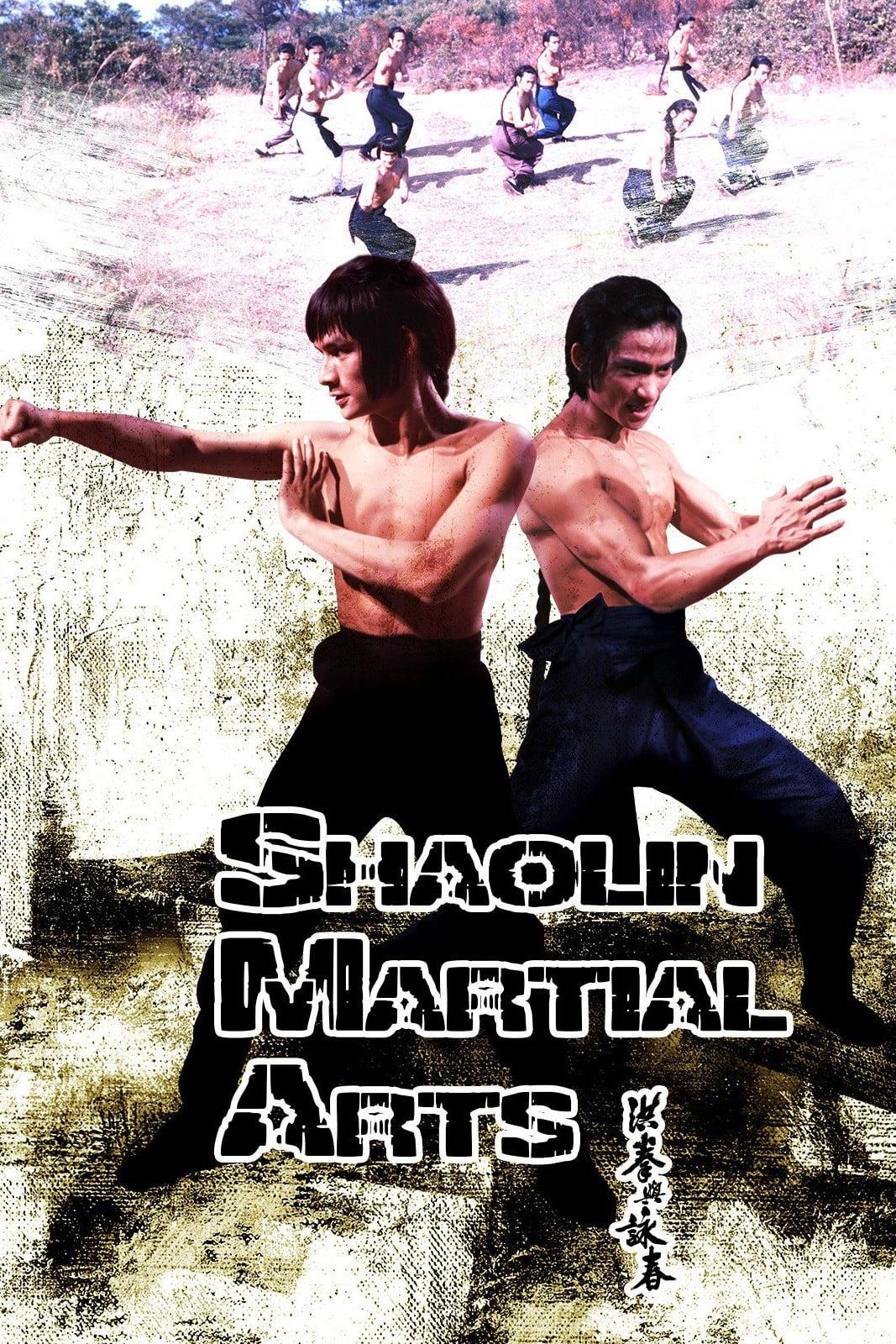 Shaolin Martial Arts poster