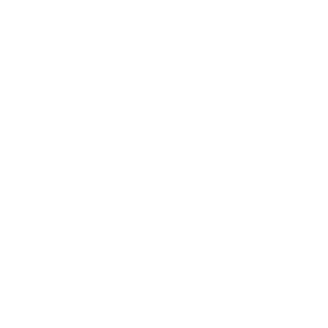 The Secret Art of Human Flight logo