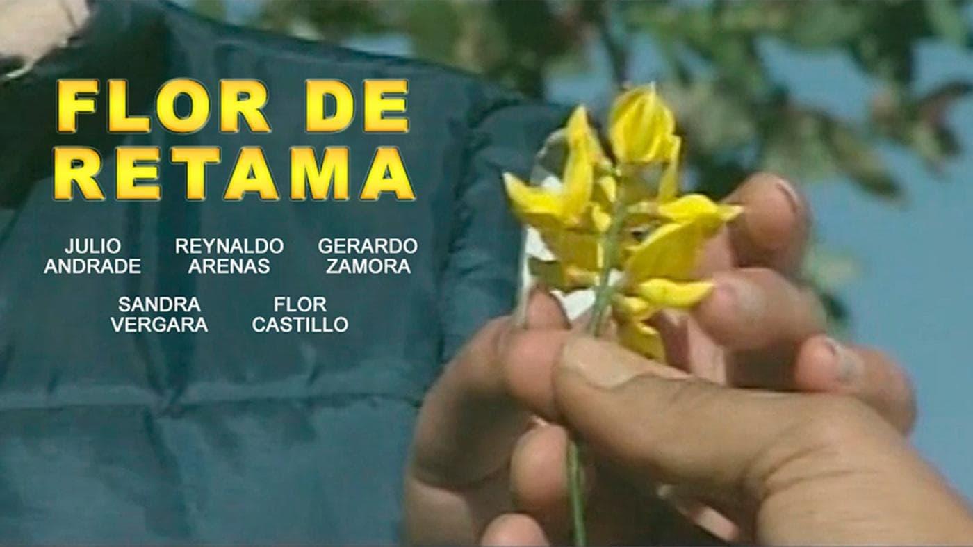 Flor de Retama backdrop