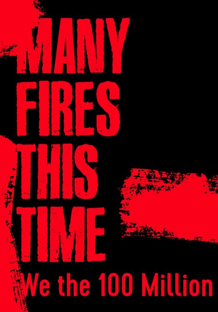 Many Fires This Time: We the 100 Million poster