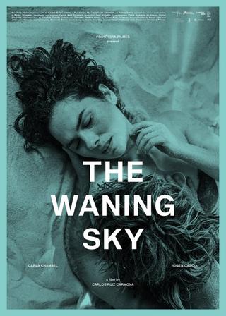 The Waning Sky poster