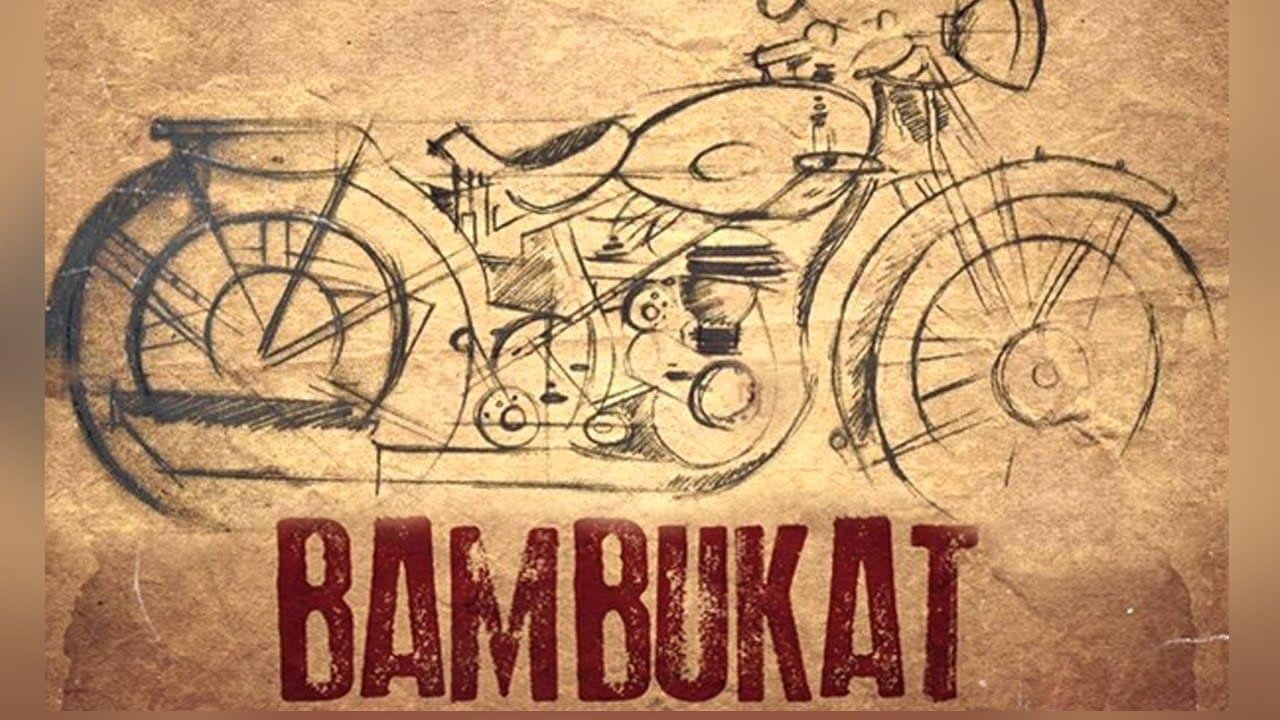 Bambukat backdrop