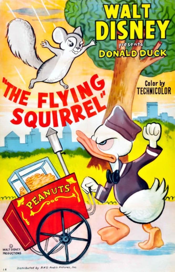 The Flying Squirrel poster