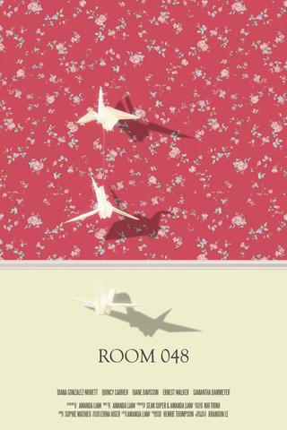 Room 048 poster