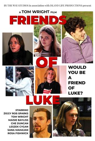 Friends of Luke poster