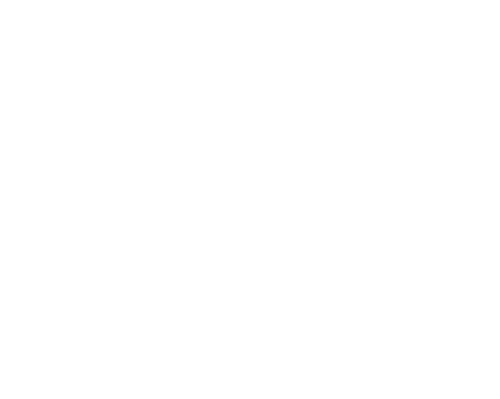 Jungle Junction logo