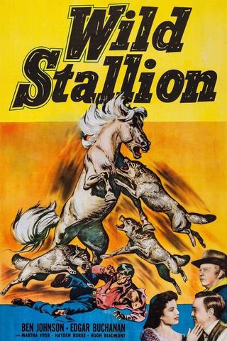 Wild Stallion poster