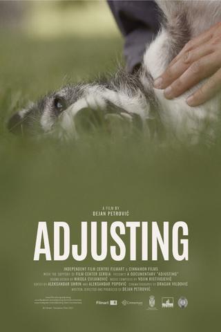 Adjusting poster