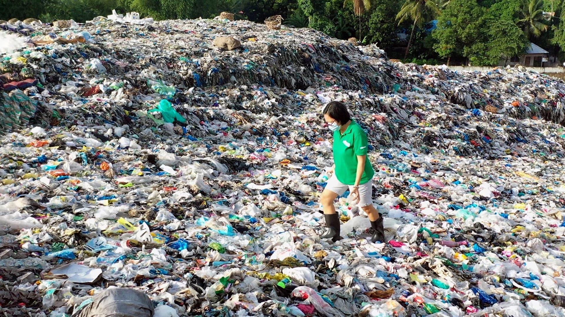 Coca-Cola, leader pollueur backdrop