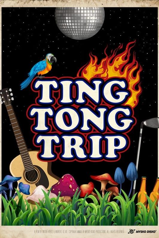 Mysko Disko: Ting Tong Trip poster