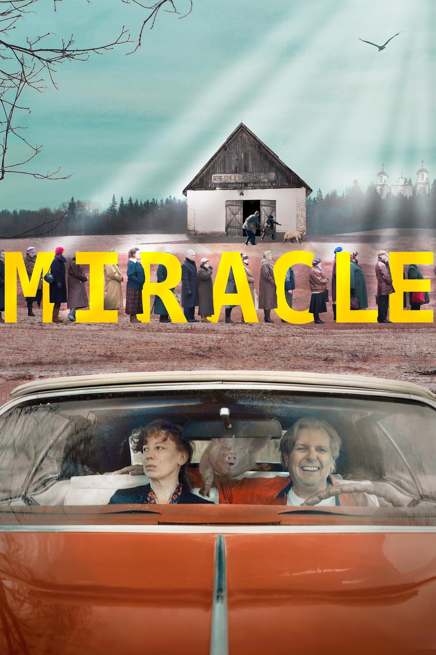 Miracle poster