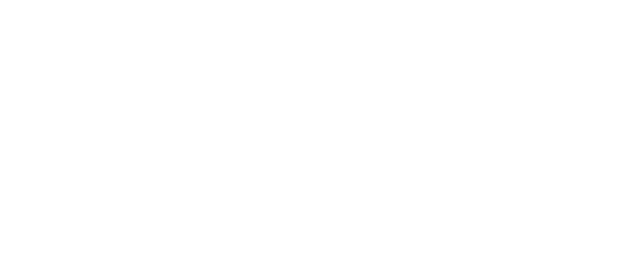 Turkish Dance School logo