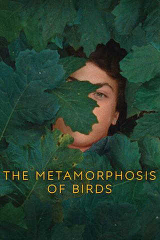 The Metamorphosis of Birds poster