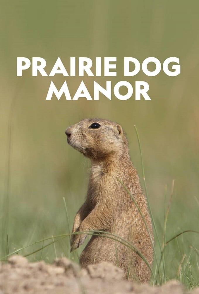 Prairie Dog Manor poster