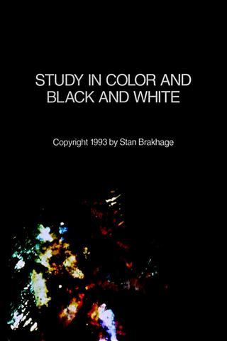 Study in Color and Black and White poster