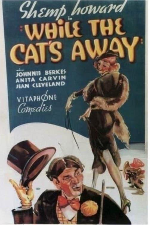 While the Cat's Away poster