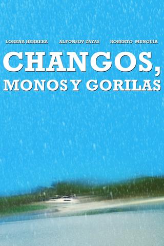 Changos, monos y gorilas poster