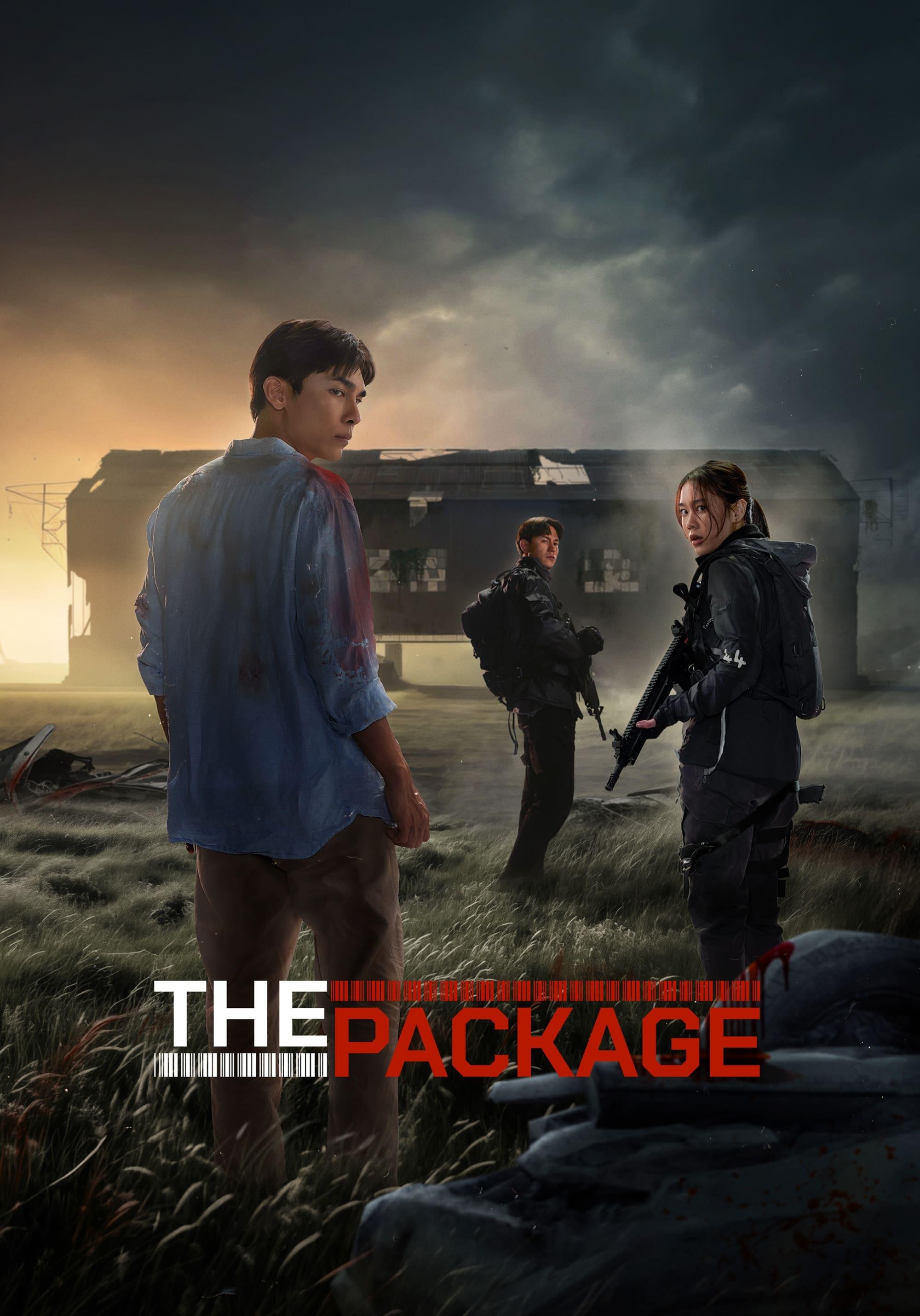 The Package poster