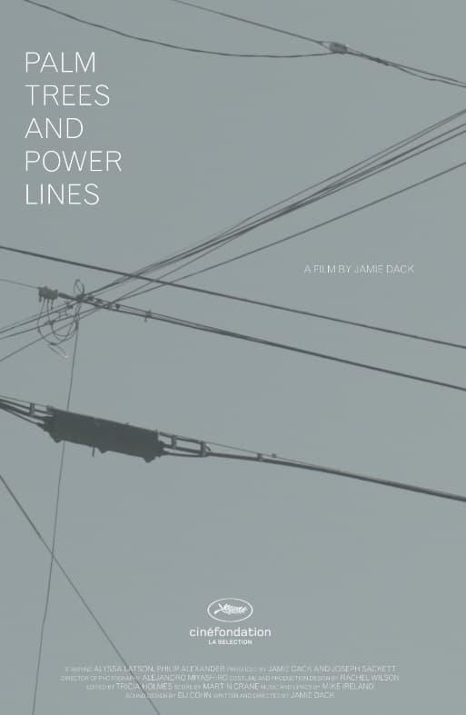 Palm Trees and Power Lines poster