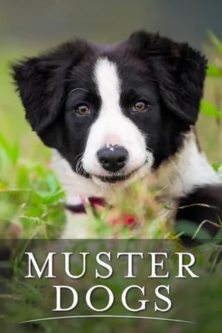 Muster Dogs poster