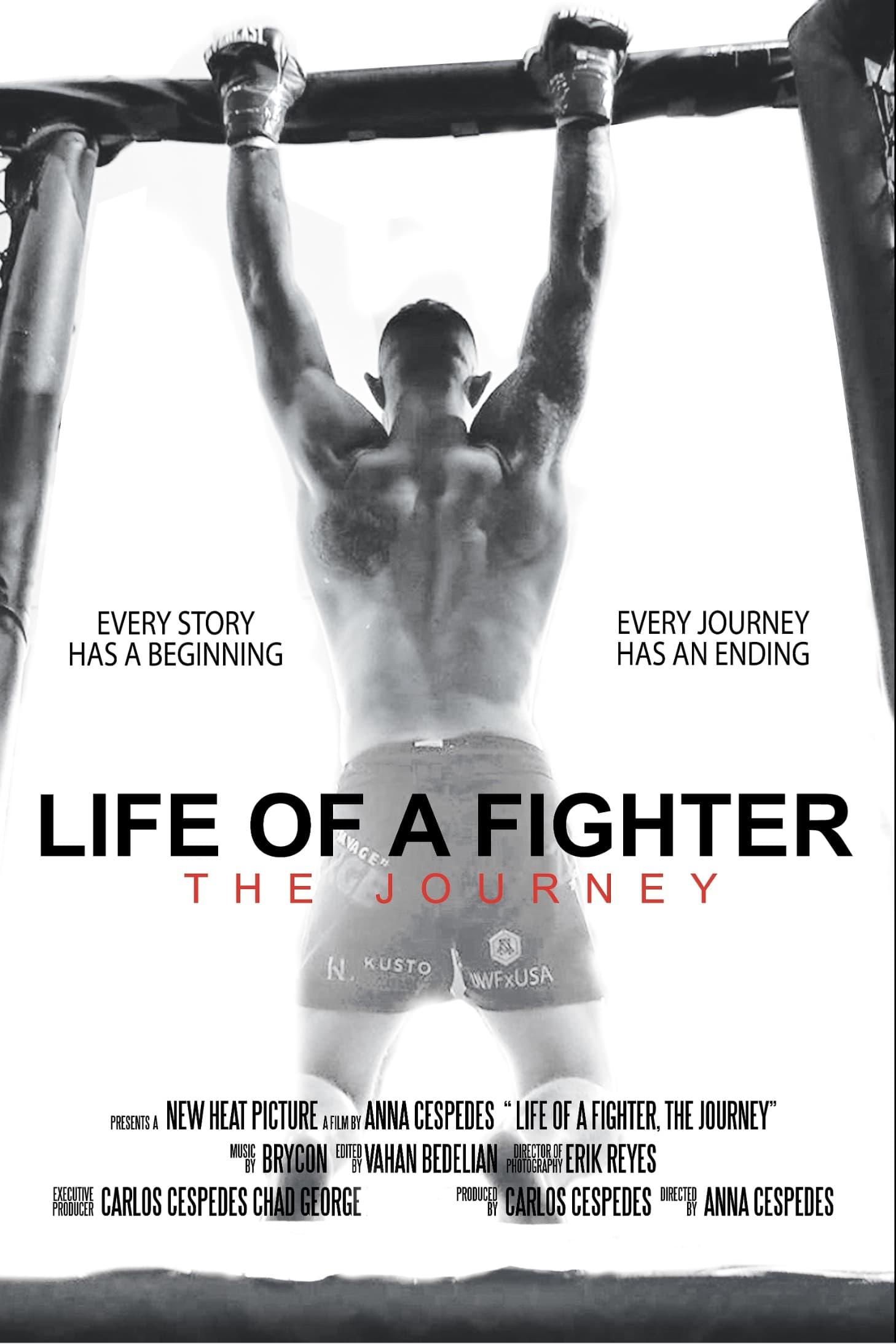 Life of a Fighter: The Journey poster