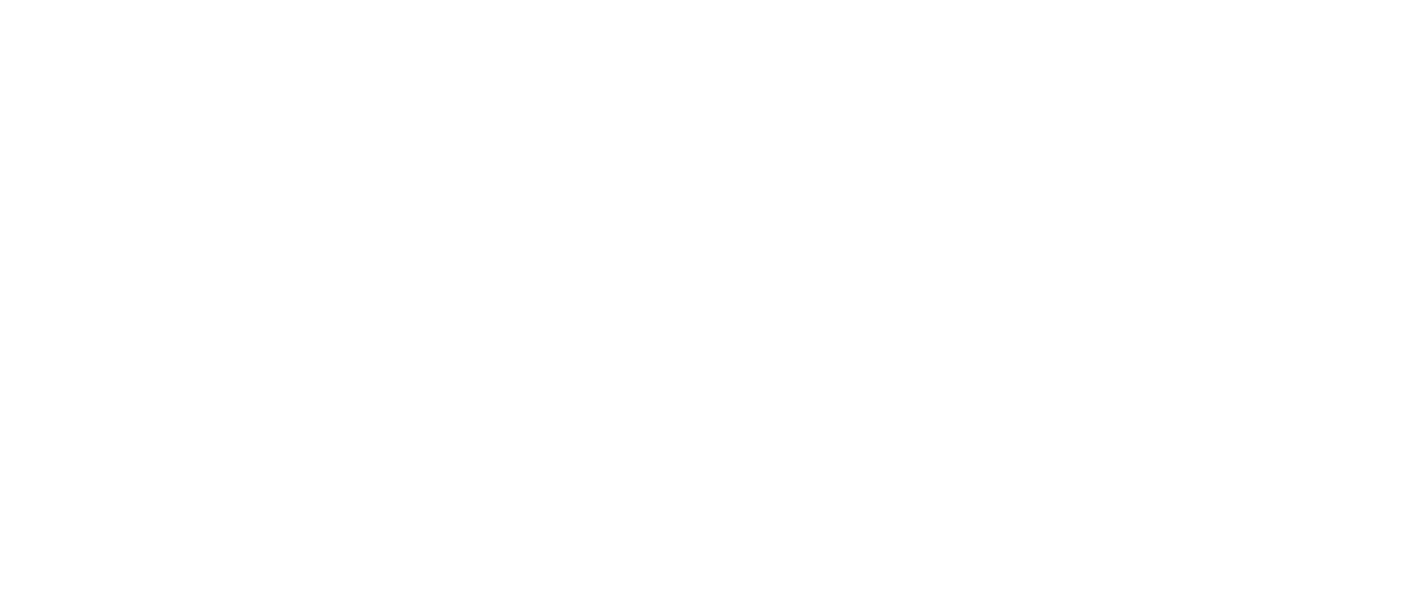 Masters of Flip logo