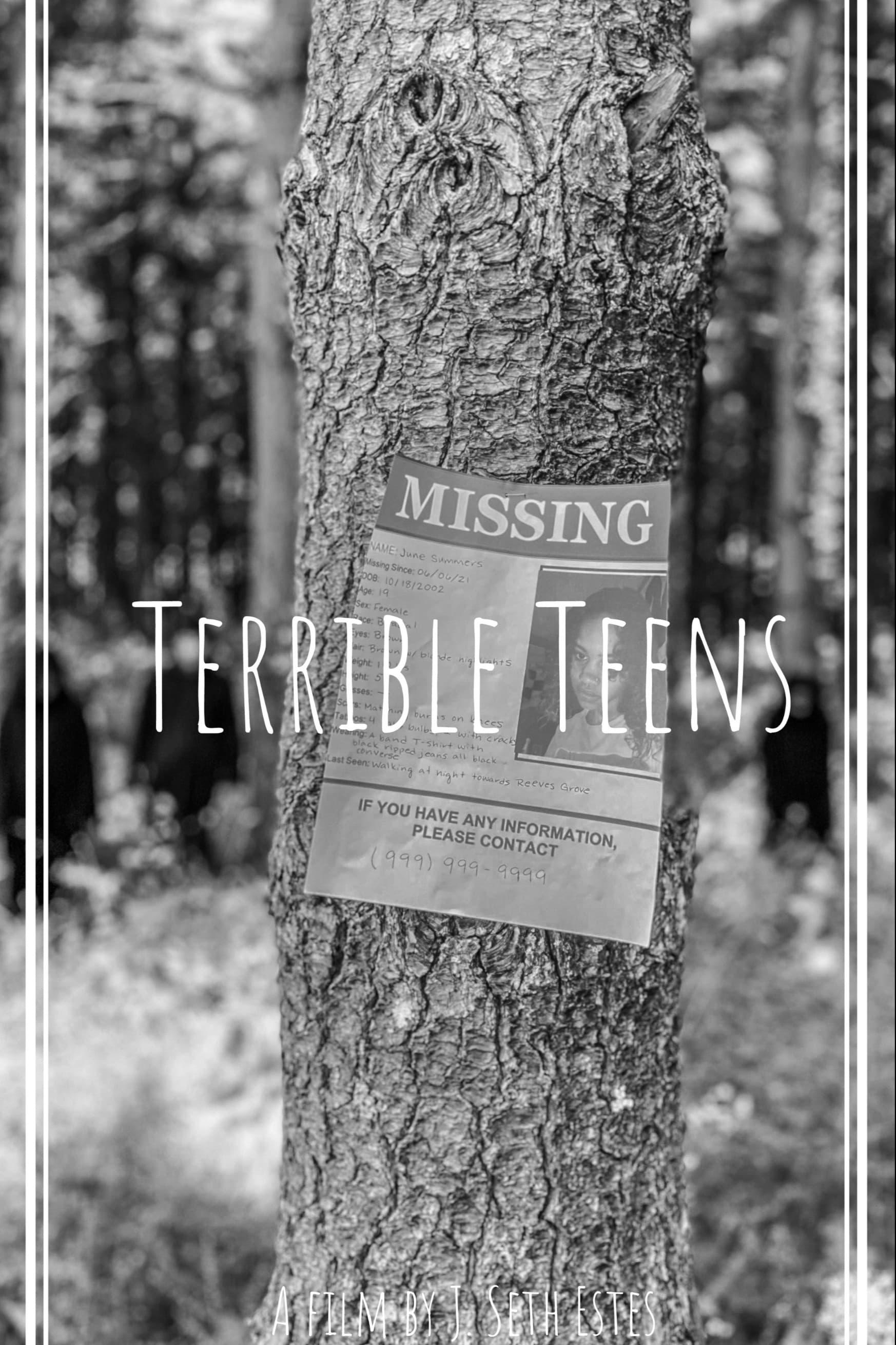 Terrible Teens poster