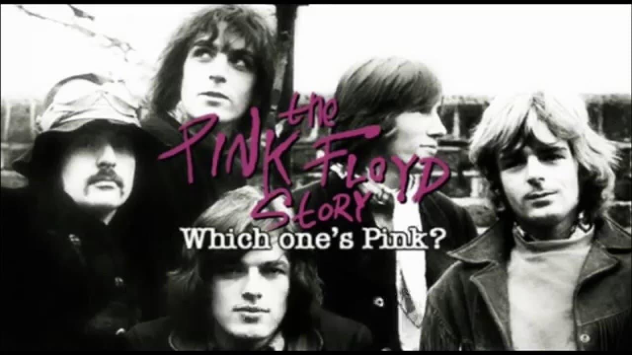 The Pink Floyd Story: Which One's Pink? backdrop