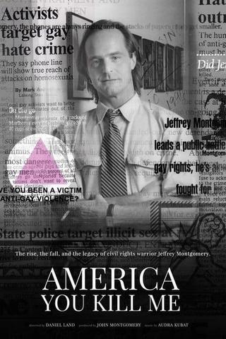 America You Kill Me poster