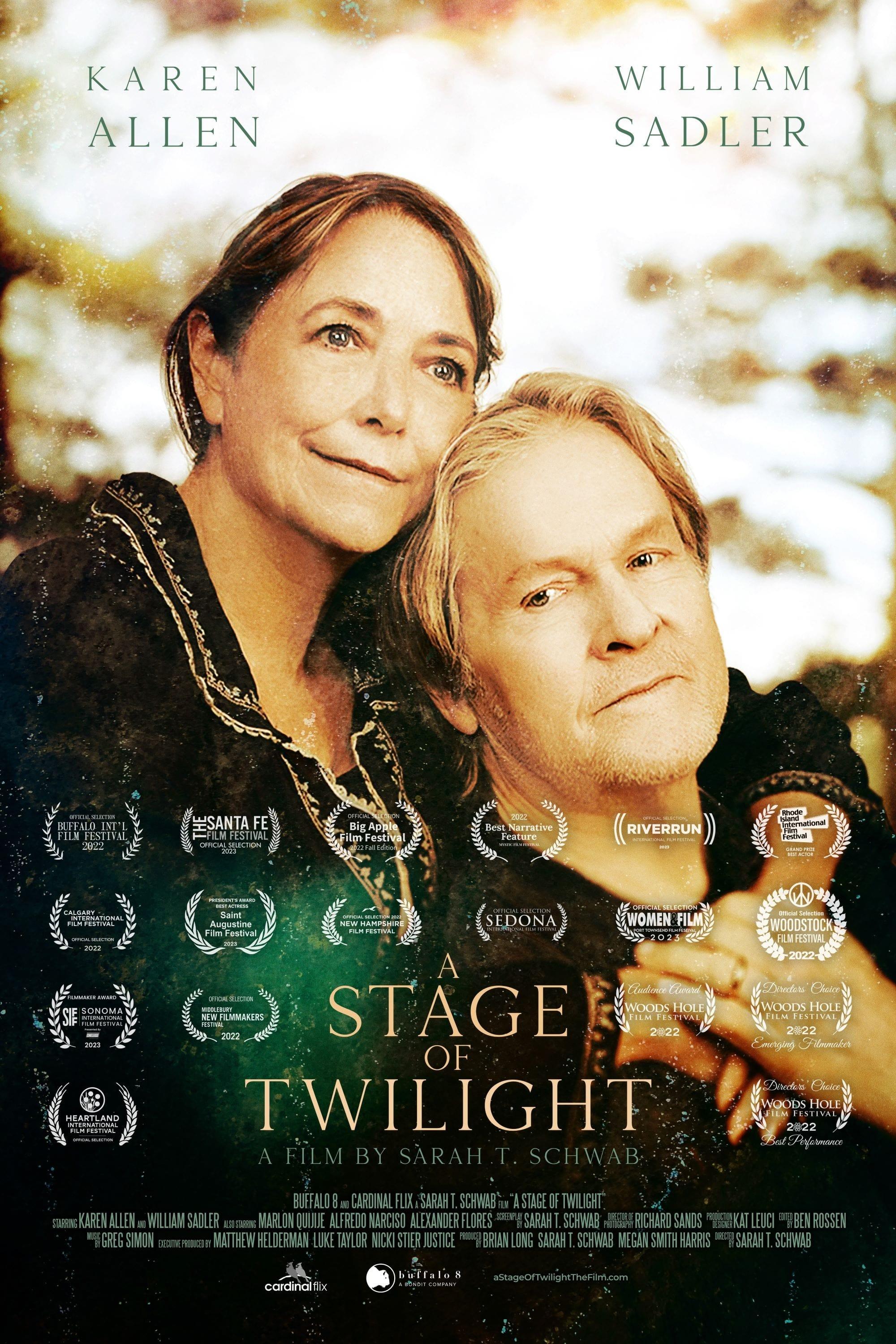 A Stage of Twilight poster