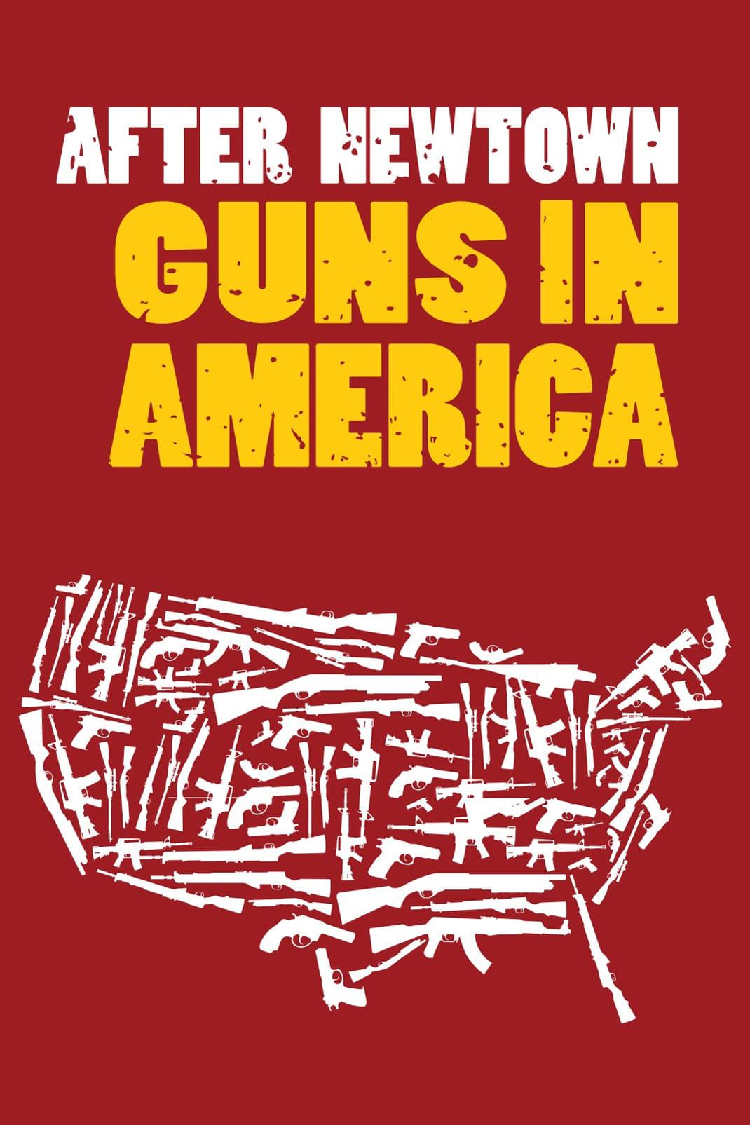 After Newtown: Guns in America poster